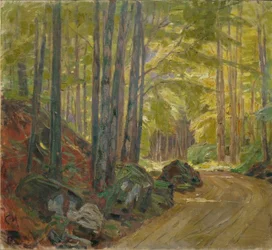 Skogsväg nära Schäerfling